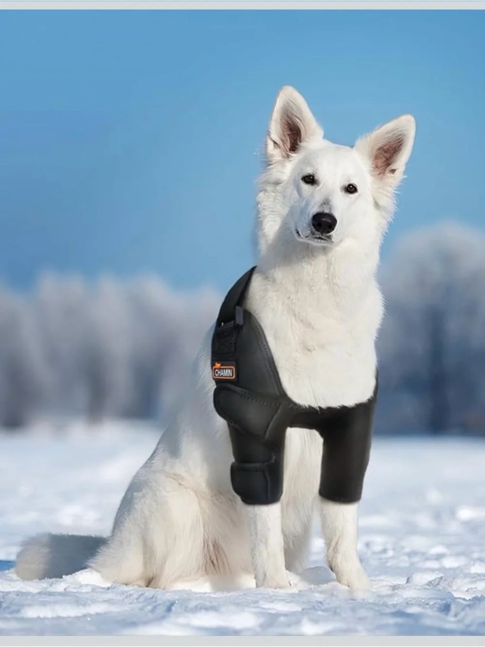 Dog Elbow Brace For Shoulder And Front Leg, Dog Elbow Protector Pads 2044/Dc-1